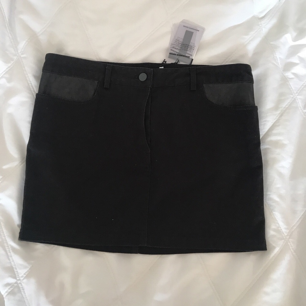 Alexander wang skirt